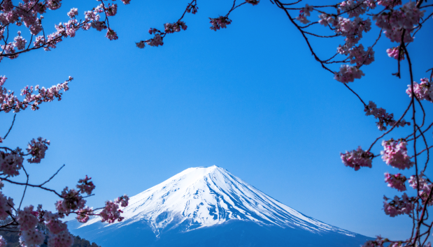 mount fuji